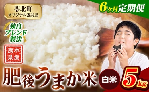 【6か月定期便】米 白米 熊本県産 肥後うまか米 5kg 精米 こめ  コメ お米 おこめ ブレンド米《申込月の翌月から出荷開始》熊本県産  コメ お米 おこめ