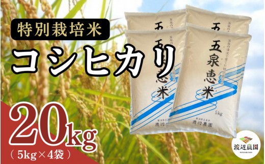 【令和7年産】 渡辺農園の特別栽培米コシヒカリ 20kg(5kg×4袋) 新潟県 五泉市 渡辺農園