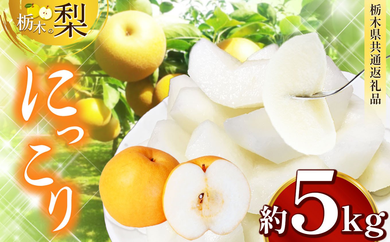 
            【先行予約】 栃木県産 にっこり 約 5kg  | ナシ 梨 なし 栃木県共通返礼品 栃木県 真岡市 ふるさと納税 送料無料 
          