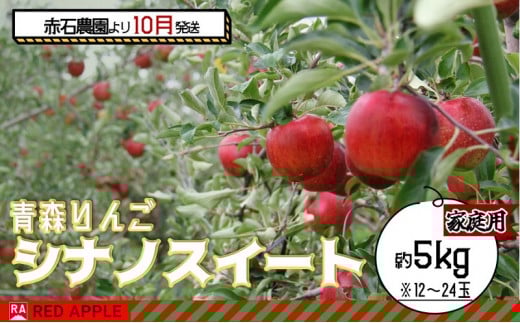 りんご 【 10月発送 】家庭用 シナノスイート 約 5kg 【 弘前市産 青森りんご 】 果物 フルーツ 食後 デザート 果汁たっぷり ジューシー 旬の果物