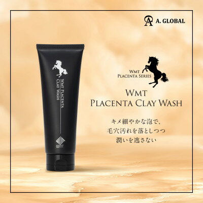 【ふるさと納税】WMT PLACENTA CLAY WASH　(美容 スキンケア)【1705061】