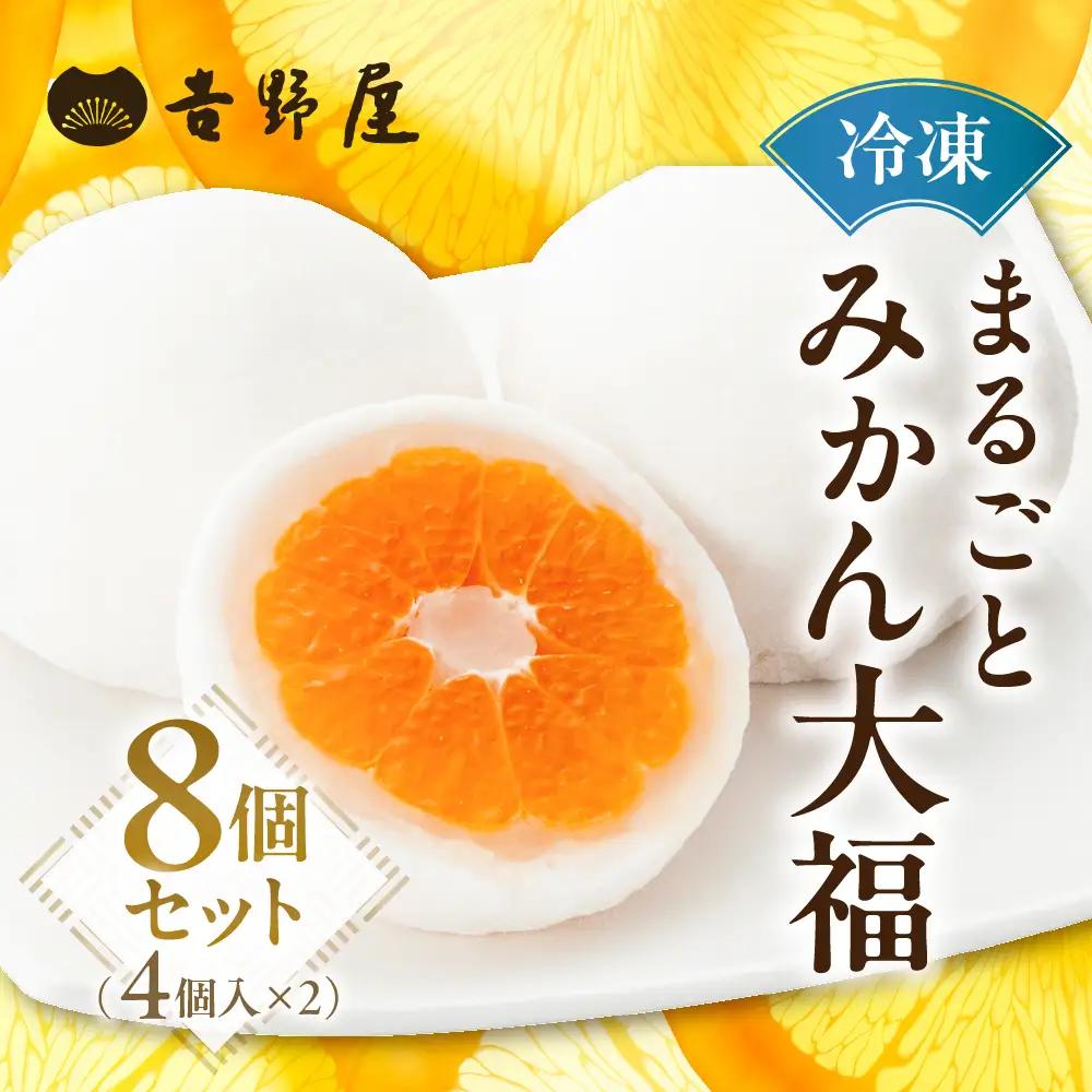 みかん フルーツ大福 4個 ×2 セット フルーツ大福 [mt501]  