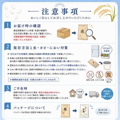 ふるさと納税 大網白里市 【新米先行受付 令和8年産】コシヒカリ 精米 10kg (10kg×1袋)　8月下旬以降順次発送予定 |  | 01