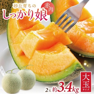 SZ0325　庄内赤肉メロン「しっかり娘」　約3.4kg(赤肉/2玉入/つる付き)