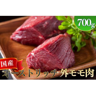 ふるさと納税 美里町 国産オーストリッチ外モモ肉　700g◆ダチョウ肉
