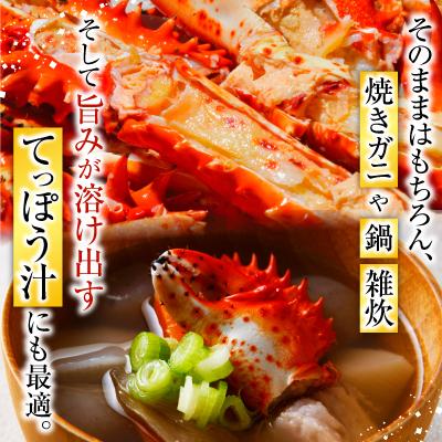 ふるさと納税 根室市 【北海道根室産】花咲かに800g×3尾(計2.4kg) D-20012 |  | 02