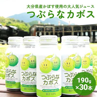 ふるさと納税 玖珠町 大分県産かぼすを使った「つぶらなカボス」ジュース