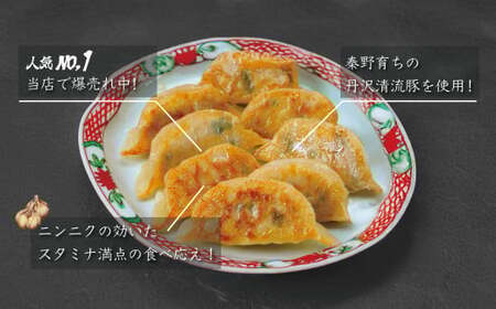 餃子 豪華焼きたてセット（葉にんにくバーグ９個×３袋・はだの餃子30個×２袋）冷凍 おかず