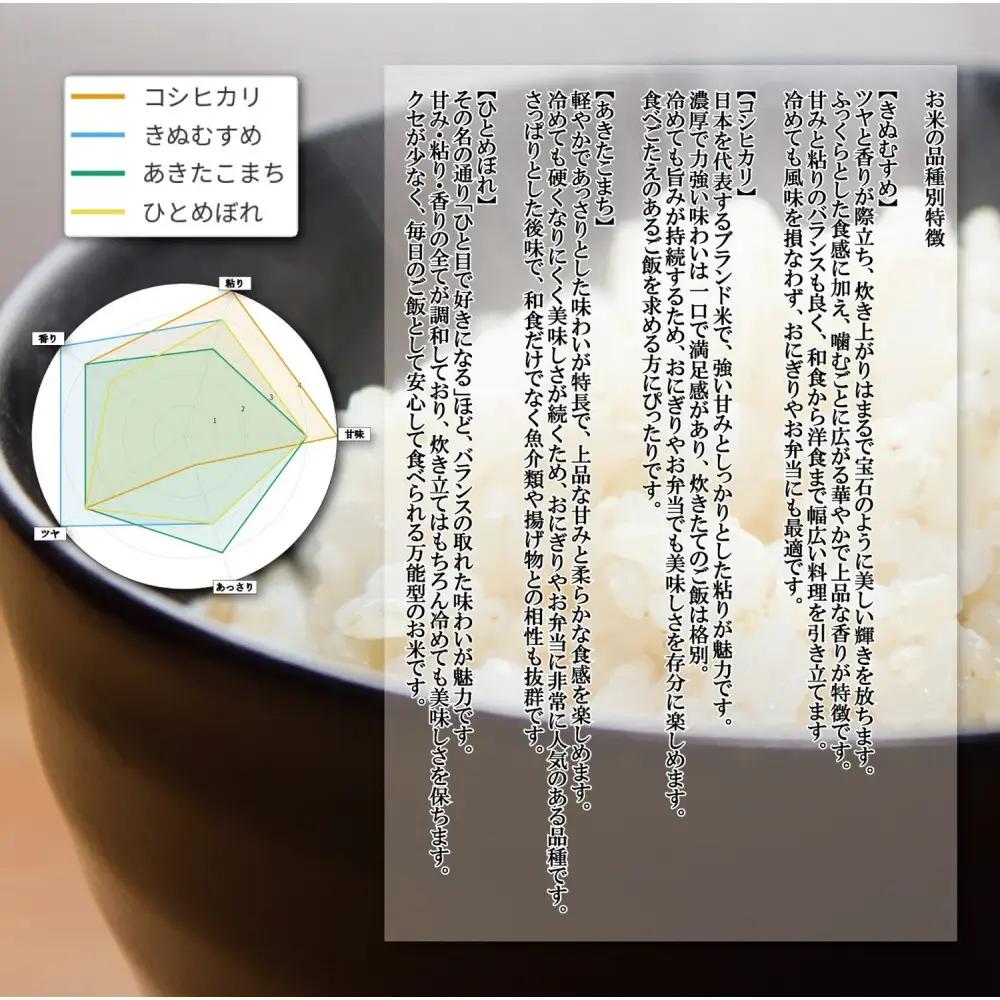 令和7年産 大上農園きぬむすめ無洗米10kg キヌムスメ