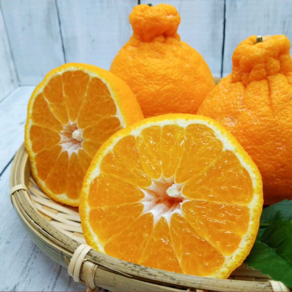 【ふるさと納税】＜選べる容量＞ デコポン 約2kg / 約3kg / 約5kg でこぽん 柑橘 ブランド柑橘 不知火 しらぬい みかん フルーツ 果物 くだもの 厳選 常温 熊本県産 熊本県 熊本市 送料無料 【2026年1月下旬～2月下旬迄順次発送予定】