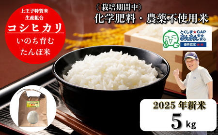 令和7年産新米 コシヒカリ 5kg 天皇献上米 (栽培期間中）化学肥料・農薬不使用米 米