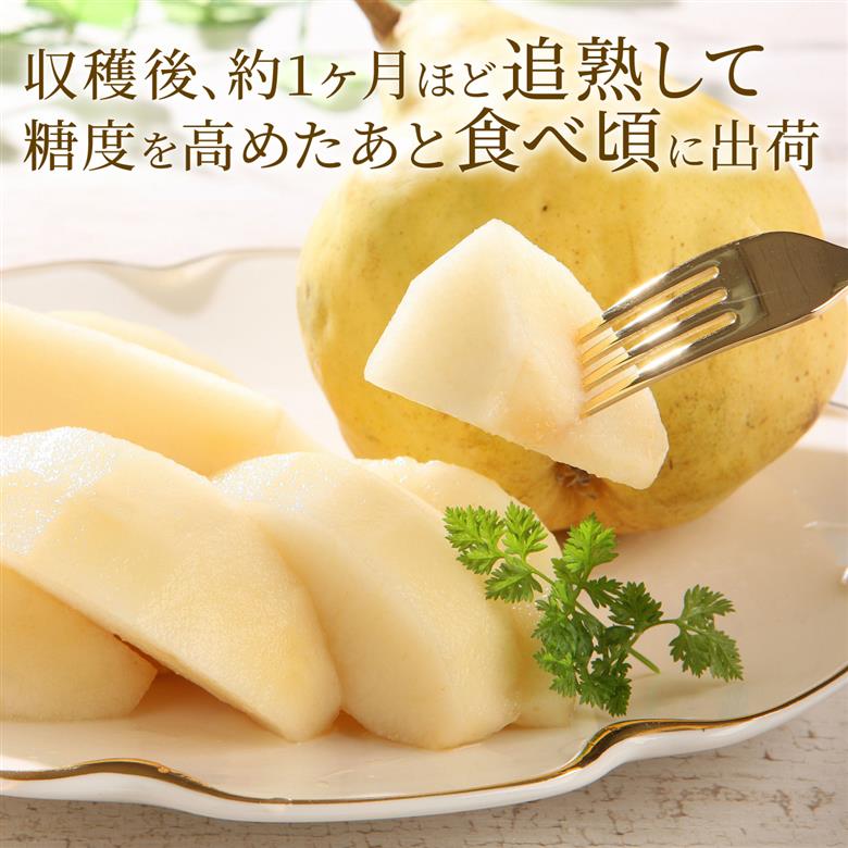 2025年産先行予約 ル・レクチェ 食べ尽くしセット 【 新潟県 新発田市 高橋農園 ル・レクチェ ルレクチェ 西洋梨 西洋なし コンポート ジャム セット プレゼント 数量限定 C10_01 】