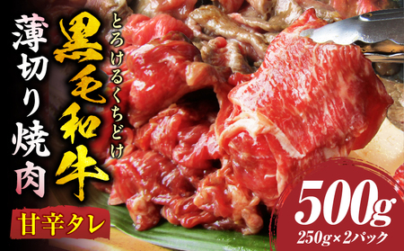 とろける黒毛和牛リッチな薄切り焼肉500g(250g×2P)　秘伝のタレ漬け_mk146-018