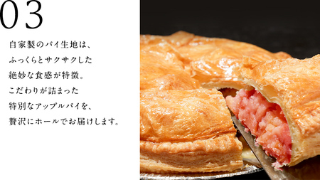 アップルパイ （ ホール 直径 20ｃｍ ） 自家製 ケーキ パイ 焼き菓子 リンゴ スイーツ ホール お取り寄せ お菓子 洋菓子 紅玉りんご ギフト 贈り物 [BL001tu]