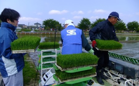 [定期便5kg×3ヶ月] 特別栽培米 コシヒカリ5kg 新潟県認証 新潟県三条市産 こしひかり 3か月連続でお届け【027S014】