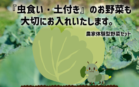 【定期便6ヶ月】訳あり野菜セット 約3～4種類 農家のおすそわけ 旬 野菜セット
