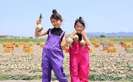 あわじ島完熟たまねぎ　10㎏　◆配送６月～12月下旬