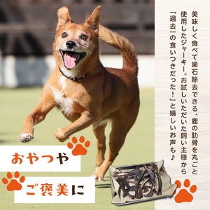 犬用鹿肉ジャーキー（肋骨ジャーキー）5本入り (ペット用) 079-15