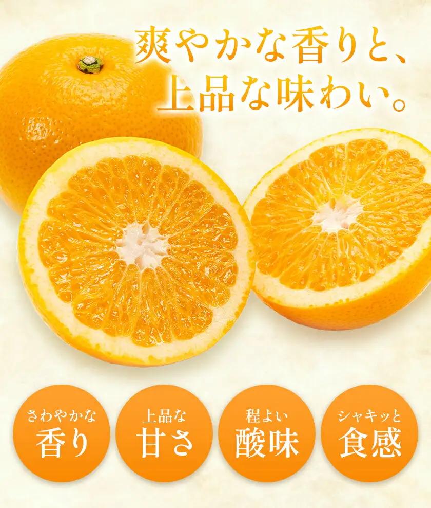 八朔 約10kg (約30玉前後) 農園誉 はっさく