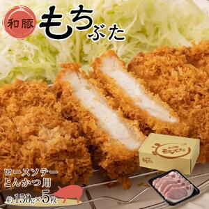 豚肉 『もちぶた』ロース ソテー・とんかつ用  750g ( 約150g × 5枚 )　豚肉