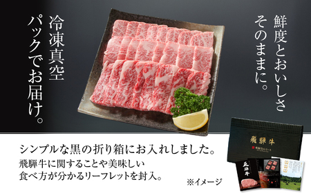 飛騨牛 カルビ焼肉 500g 冷凍真空パック 飛騨高山ミート | 肉 お肉 焼肉 焼き肉 やきにく 黒毛和牛 和牛 人気 おすすめ 牛肉 ギフト お取り寄せ [MZ037]