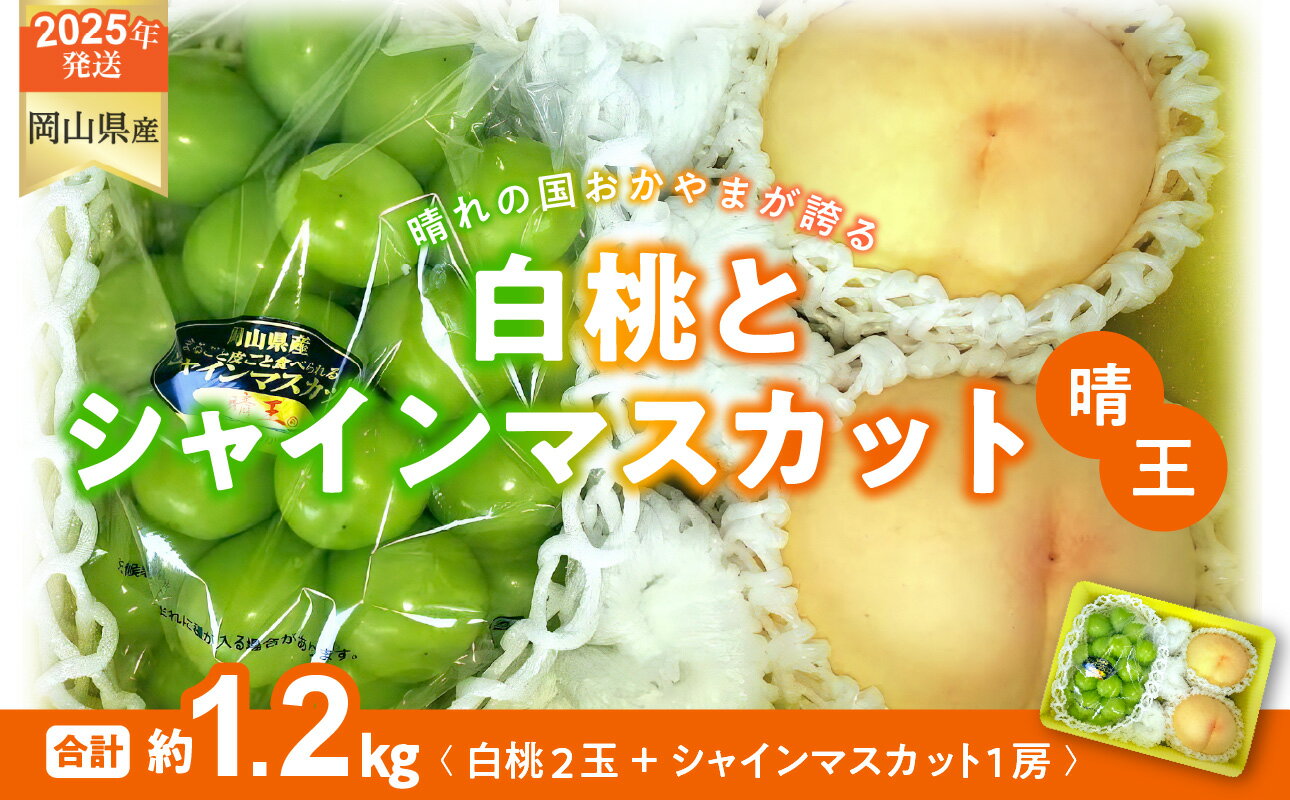 【ふるさと納税】白桃 シャインマスカット 晴王 約1.2kg 桃2玉 ぶどう1房 岡山県産 御中元 ギフト 御礼 プレゼント 御礼 御祝 御供 果物 くだもの フルーツ　CT-7