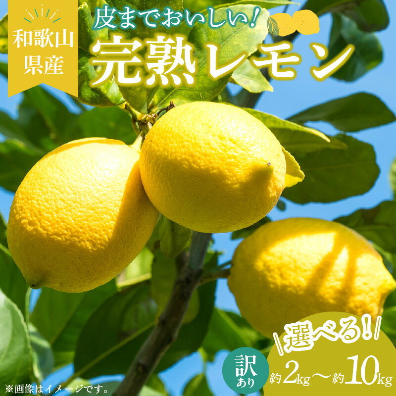 【ふるさと納税】【訳あり・ご家庭用】 完熟 レモン 選べる 内容量 約 2kg ～ 10kg 皮まで使用可能（栽培期間中農薬不使用）