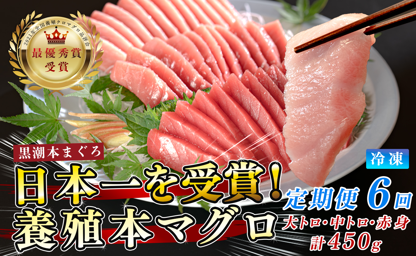 まぐろ マグロ 本鮪 黒潮本まぐろ 大トロ 中トロ 赤身 定期便 6回 計450g × 6回 刺身 さしみ 最優秀賞 全国養殖クロマグロ品評会 受賞 魚 魚介類 海鮮 柵 サク 冷凍 お取り寄せ 産地直送 ギフト 贈答  高知県 大月町