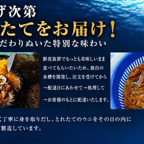うに 礼文島産 生うに エゾバフンウニ うに【40g×4個】