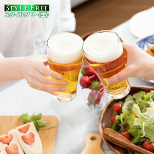 【定期便 12ヶ月】アサヒ スタイルフリー＜生＞＜500ml＞24缶 2ケース 北海道工場製造 ビール アサヒビール 缶ビール 発泡酒 ビール工場製造 お酒 ビール定期便 おすすめ定期便