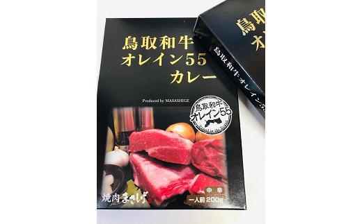 
鳥取和牛 オレイン55 カレー 10 個セット 和牛 黒毛和牛 国産 牛肉
