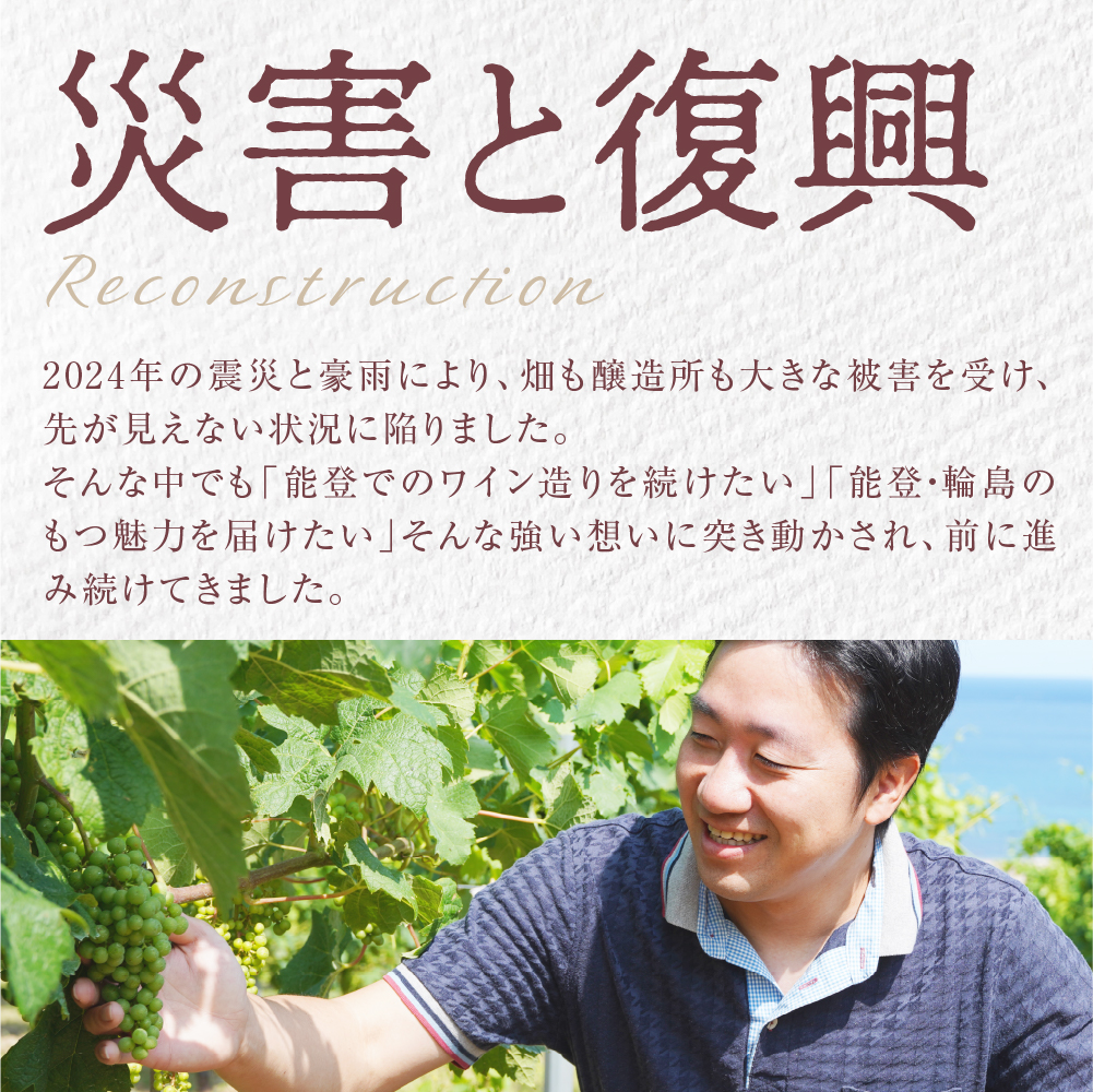 輪島市産ワイン用ブドウ100%使用！ぶどうジュース　紅白２本セット