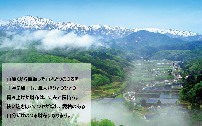 山ぶどうつるの長財布