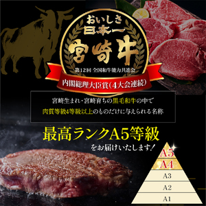 【祝！内閣総理大臣賞！＼日本一おいしいキャンペーン╱】小林市産宮崎牛ヒレステーキ　4枚セット