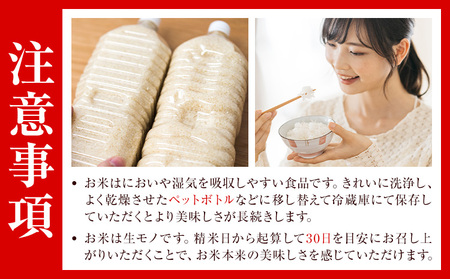 つるたファームの極ヒノヒカリ 5kg お米 ご飯 米 白米 【2025年11月上旬より発送開始予定】st-p