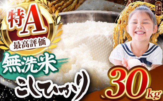 【2026年産】栃木県産コシヒカリ 無洗米 30kg 【栃木県共通返礼品 栃木県産】