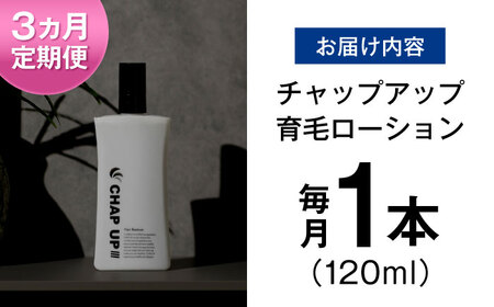 【3回定期便】薬用育毛剤 チャップアップ CHAP UP 120ml×1本 髪 育毛 脱毛予防 発毛促進 男性用[AIDV003]