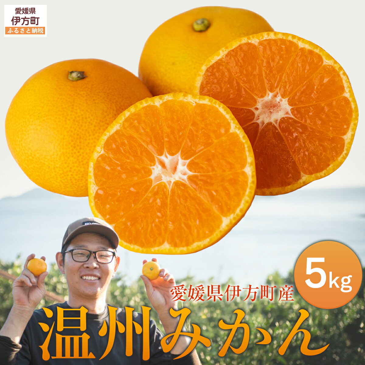 【ふるさと納税】 【先行予約】【数量限定】温州みかん5kg（石崎農園）※離島への配送不可 （2025年11月25日より順次発送予定） 【ふるさと納税 人気 おすすめ ランキング みかん 温州みかん ミカン 果物 フルーツ 愛媛県産 石崎農園 愛媛県 伊方町 送料無料】 IKTAG001