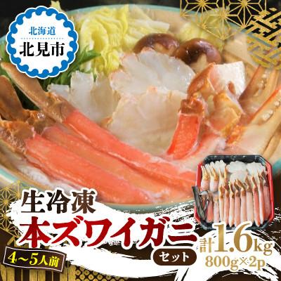 ふるさと納税 北見市 生冷本ズワイガニセット1.6kg　(800g×2パック、昆布同梱) 北見市加工　4〜5人前