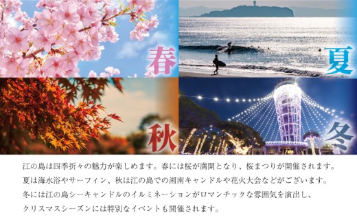 オーガニックグリル鵠沼海岸 ランチ食事券 1名様分 シェフ特製ランチコース レストラン コース ランチ フレンチ サラダ スープ 肉料理 魚料理 オードブル 特製 食事券 チケット ランチ券 江の島 