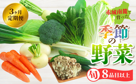 野菜【3カ月定期便】赤城南麓で育った季節の野菜
