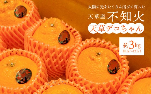 
                  S153-001_数量限定 不知火 約3kg デコポン 同一品種 完熟 農家直送 8～12玉 天草産 柑橘 旬 果物 フルーツ 果樹園 しばた農園 みかん デザート スイーツ 国産 熊本県 天草市 期間限定 送料無料
                