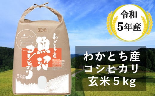 令和4年産 わかとち産 魚沼コシヒカリ特別栽培棚田米「玄米」5kg