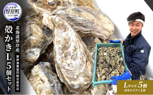
                  牡蠣 殻付き 生食 L5個 北海道 厚岸産 マルえもん【厚岸漁業協同組合】カキナイフ付 [ カキ かき 生牡蠣 殻かき オイスター 冷蔵 ］
                