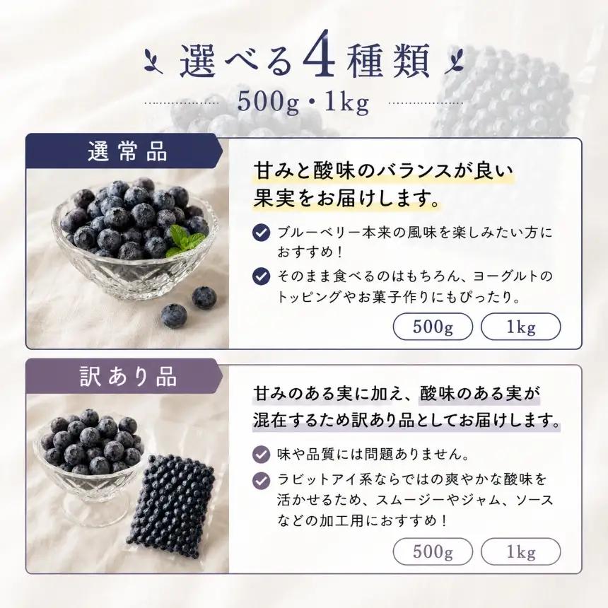 冷凍ブルーベリー 訳あり 1kg
