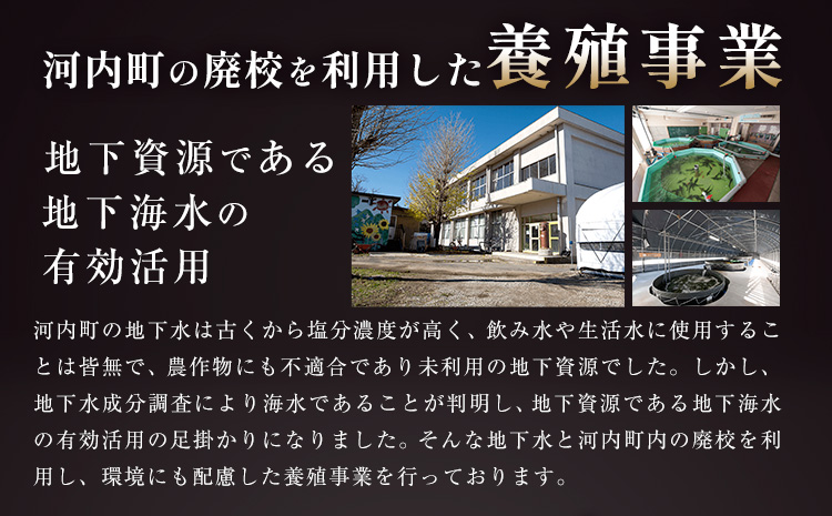 魚 味付き魚 チョウザメ 唐揚げ ソテー 用 200g 1袋 《30日以内に出荷予定(土日祝除く)》キャビアフィッシュカンパニー 惣菜 味付き 簡単調理 茨城県 河内町
