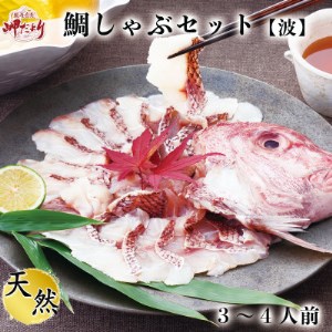 岬だより 贅沢すぎる!鯛しゃぶセット [波] -出汁・ポン酢付き- [配送不可地域：離島]