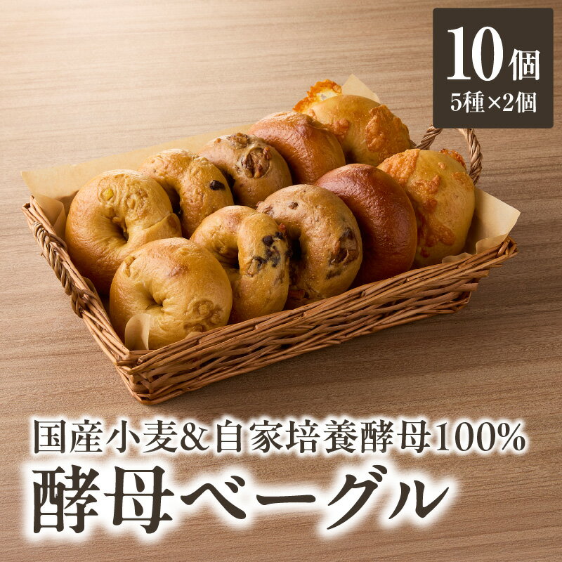 【ふるさと納税】《レビューキャンペーン》国産小麦＆自家培養酵母100％　酵母ベーグル5種×2個 パン ベーグル 身体にやさしい 自然素材 素朴 セット おやつ 朝食 国産 酵母 プレーン チョコ チーズ 胡桃 オレンジ 風味 食感 もちもち もっちり 食べ応え 冷凍 朝食 おやつ