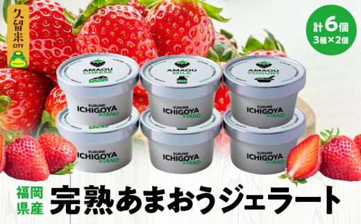 
                  【ICHIGOYA】福岡県産 完熟あまおう ジェラート(アイス) 3種×2個(計6個) レアチーズ！ミルク！ヨーグルト！_ ICHIGOYA 福岡県産 完熟 あまおう ジェラート アイス 3種 × 2個 計 6個 レアチーズ ミルク ヨーグルト セット デザート カップアイス アイスクリーム 冷凍 お取り寄せ お取り寄せスイーツ 福岡県 久留米市 送料無料_Dw016
                