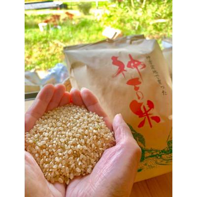 ふるさと納税 南丹市 【令和7年産】京都丹波産 コシヒカリ 10kg 玄米(栽培期間中農薬不使用)